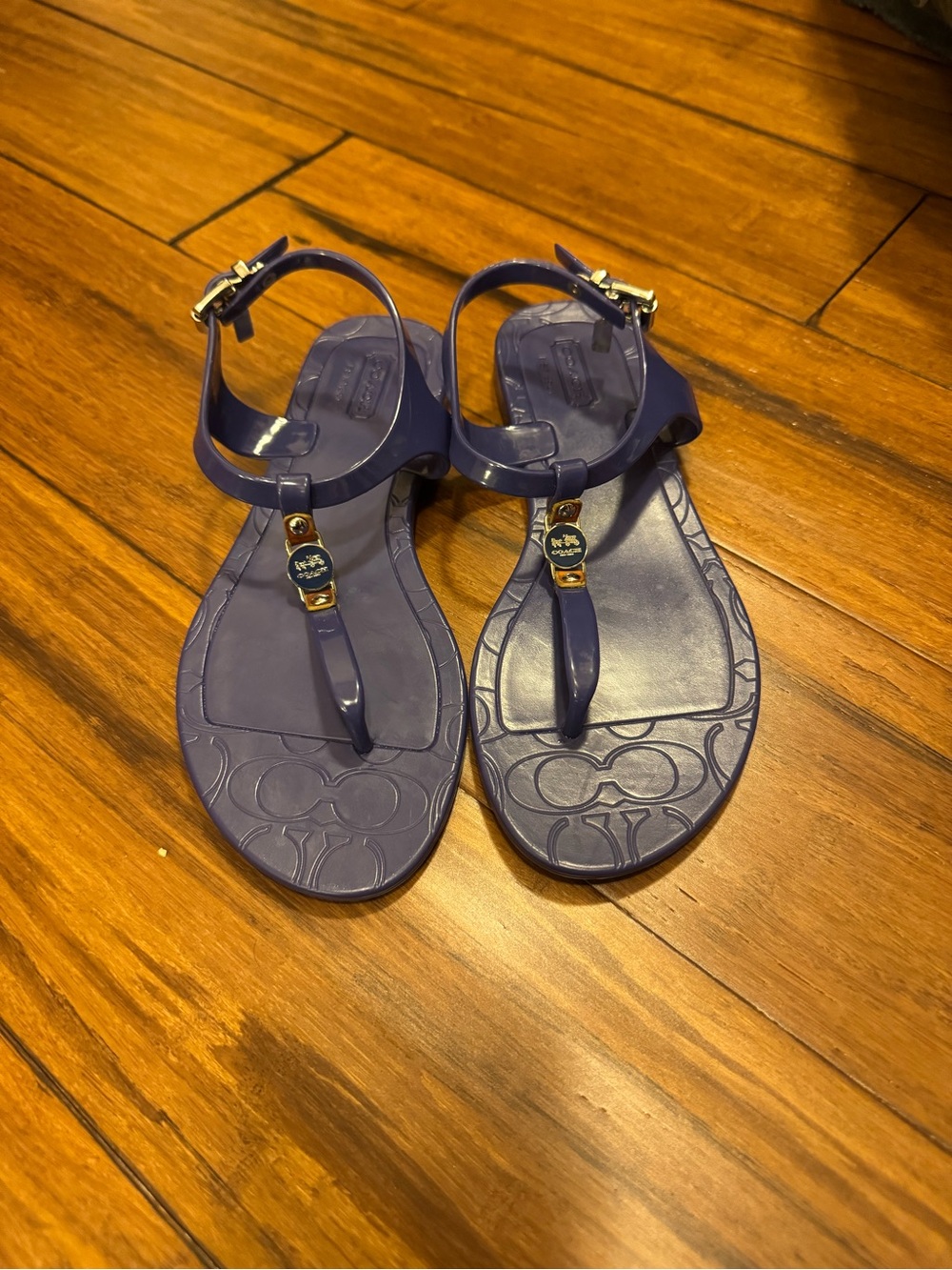 COACH Blue Jelly T-Strap Sandals – Signature Monogram & Gold Charm Accent, 5
